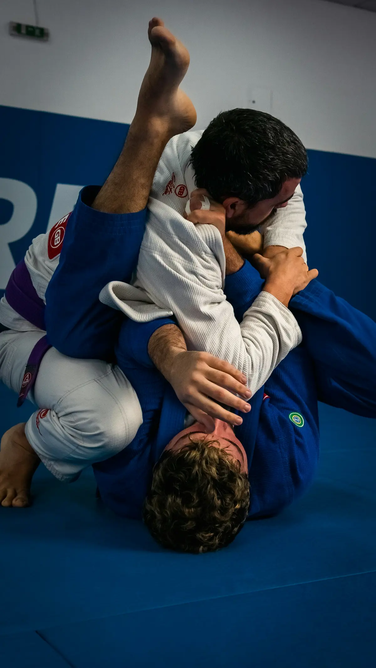 Jiu Jitsu
